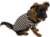 Midlee Referee Dog Halloween Costume (XX-Large) Perspective: front