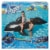 H2OGo!™ Jumbo Whale Rider - Black/White Perspective: front