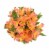 Alstromeria Perspective: front