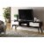 ACME Christa 2-Drawer Wooden TV Stand in Espresso and White Perspective: front