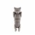 Cat Bottle Stopper by TrueZoo Perspective: front
