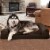 FurHaven Plush & Suede Memory Sofa Dog Bed|Jumbo, Espresso Perspective: front
