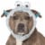 FurHaven Flex-Fit Pet Costume Hat - Monster Blue, M Perspective: front