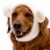 FurHaven Flex-Fit Pet Costume Hat - Polar Bear, L-XL Perspective: front