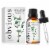 House Blend 1 oz. Essential Oil - Eucalyptus by Obvious Perspective: front