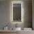 Blossom Stellar 18  Brush Gold Frame LED Glass Mirror with Antifog Perspective: front