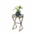 ORE International 27  Tall Gray Stone Slab Black and Gold Metal Plant Stand Perspective: front