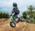 Razor SX350 McGrath Graphic Bike Perspective: front