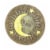 Summerfield Terrace 10017956 10.2 x 10.2 x 0.5 in. Sun & Moon Glowing Stepping Stone Perspective: front