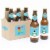 Big Dot of Happiness Holly Jolly Penguin Holiday Christmas 6 Beer Bottle Labels & 1 Carrier Perspective: front