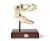 Jurassic World 9x8 Inch Tyrannosaurus Rex Skull Resin Replica Perspective: front