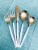 Vibhsa Hammed Silver Flatware Set 20 Piece - Silver/White Perspective: front