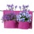 Balcony/Rail felt planter 4 Pocket Purple x3 Perspective: front