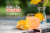 RSVP Skinnies™ Maui Mai Tai Cocktail Mixers (4 Pack) Perspective: front