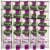 Asian Sesame Salad Dressing Packets | Value Pack | 1.5 Ounce | 20 Count Perspective: front