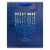 Hannukah Large Holiday Christmas Christmas Gift Bag Perspective: front