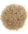 Palouse Brand Brown Lentils 18 lbs Perspective: front
