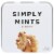 Simply Gum Ginger Mints Perspective: front
