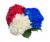 Patriotic Hydrangea Perspective: front
