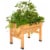 VegTrug Small Raised Bed Planter - Natural FSC 100% Perspective: front