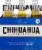 Chihuahua Cerveza Primero Lager Perspective: front