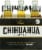 Chihuahua Cerveza Rico Lager Perspective: front