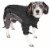 Dog Helios Blizzard Full-Bodied Adjustable and 3M Reflective Dog Jacket Perspective: front