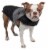 Touchdog Lightening-Shield Waterproof 2-in-1 Convertible Dog Jacket w/ Blackshark technology Perspective: front