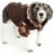 Pet Life Designer Patterned Suede Argyle Sweater Pet Jacket Perspective: front