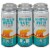 Hi-Wire Mountain Water Citrus Splash Easy Drinking Ale Perspective: front