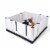 EZwhelp EZclassic 38 x38 Puppy Dog Whelping Box Playpen w/Rails & Liner, Black Perspective: front