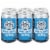 Three Notch'd Ghost of the 43rd American Pale Ale Perspective: front