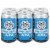 Three Notch'd Ghost of the 43rd American Pale Ale Perspective: front