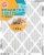 Arm and Hammer™ Enhanced 12000™ Allergen Air Filter Perspective: front
