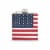 American Flag Flask by Foster & Rye™ Perspective: front