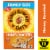 Post Honey Bunches of Oats Honey Roasted Breakfast Cereal Perspective: front