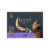 Reveal Variety Pack Cat Food in Broth Perspective: front