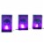 Holiday Home LED PVC Luminary Skulls - Purple Perspective: front