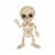 Holiday Home 7" Creepy Bones Human Skeleton Halloween Decor Perspective: front