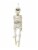 Holiday Home 16" Hanging Mummy Skeleton Halloween Decor Perspective: front