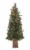 Holiday Home Bethel Park Potted Tree with Clear Lights Perspective: front