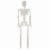 Holiday Home Blacklight Skeleton White Perspective: front