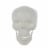 Holiday Home Blacklight Skull White Perspective: front