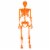 Holiday Home Pose N Stay Skeleton - Orange Perspective: front