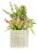 HD Designs Succulent/Agave In Ceramic Pot Perspective: front