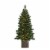 Holiday Home 4' Burlington Spruce Lit Potted Porch Tree Christmas Decor Perspective: front