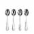 Dash of That Aston Teaspoons Perspective: front