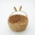 SDS for HD Designs Woven Easter Basket Perspective: front
