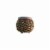 HDO Indoor Ceramic Seagrass Weaving Perspective: front