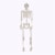 Holiday Home Pose N Stay Skeleton - White Perspective: front